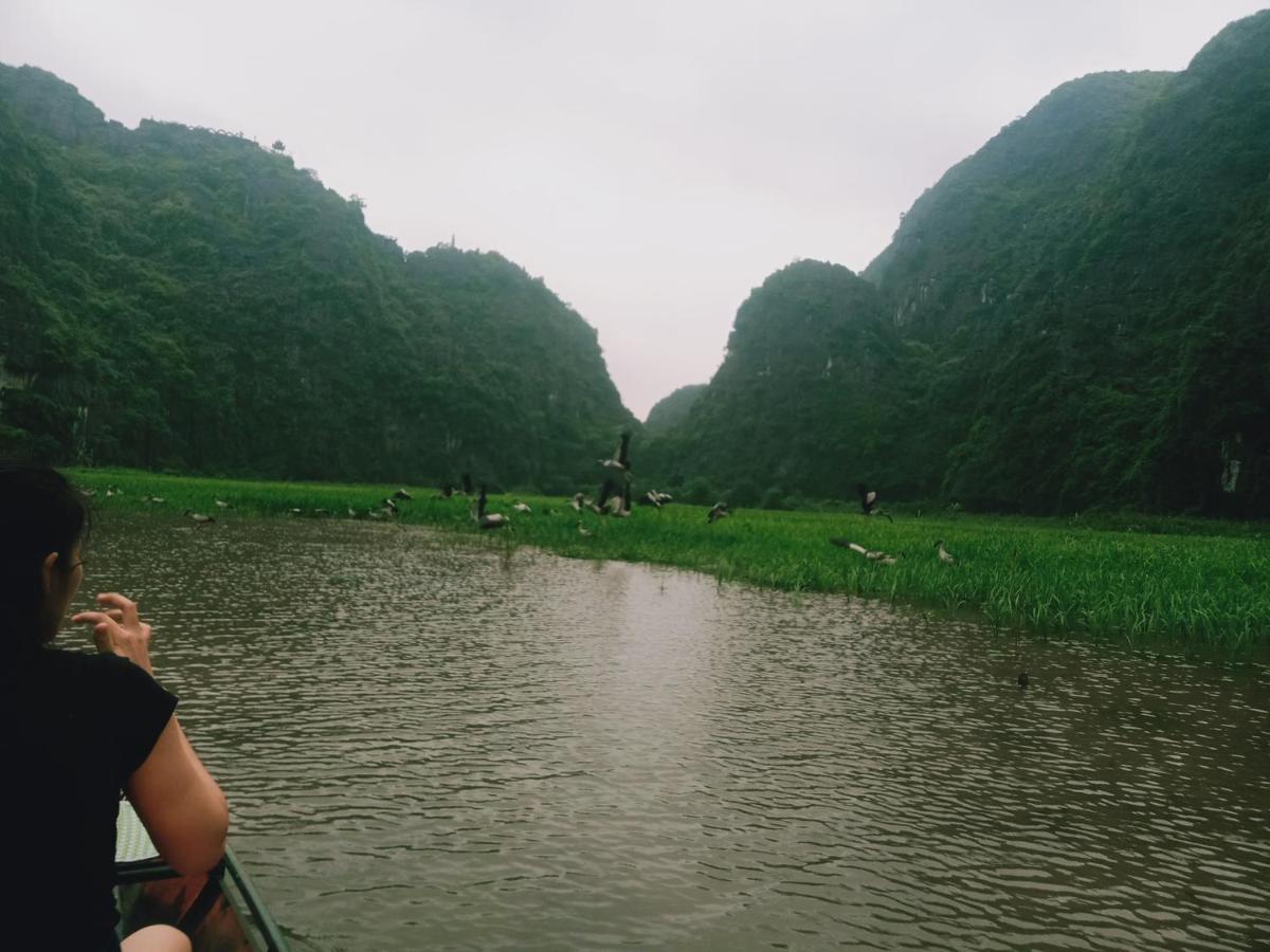 Phi Hung's Unique Homestay *