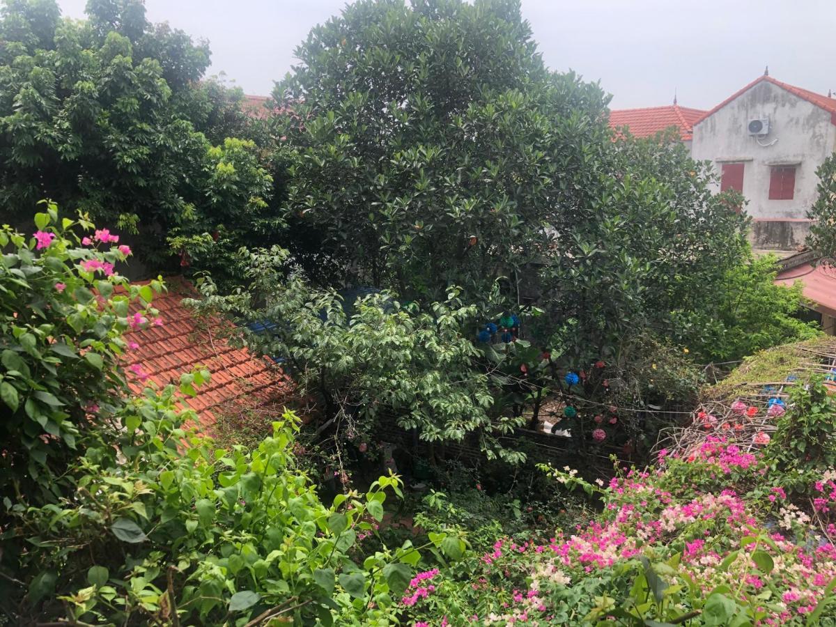 Homestay Phi Hung's Unique