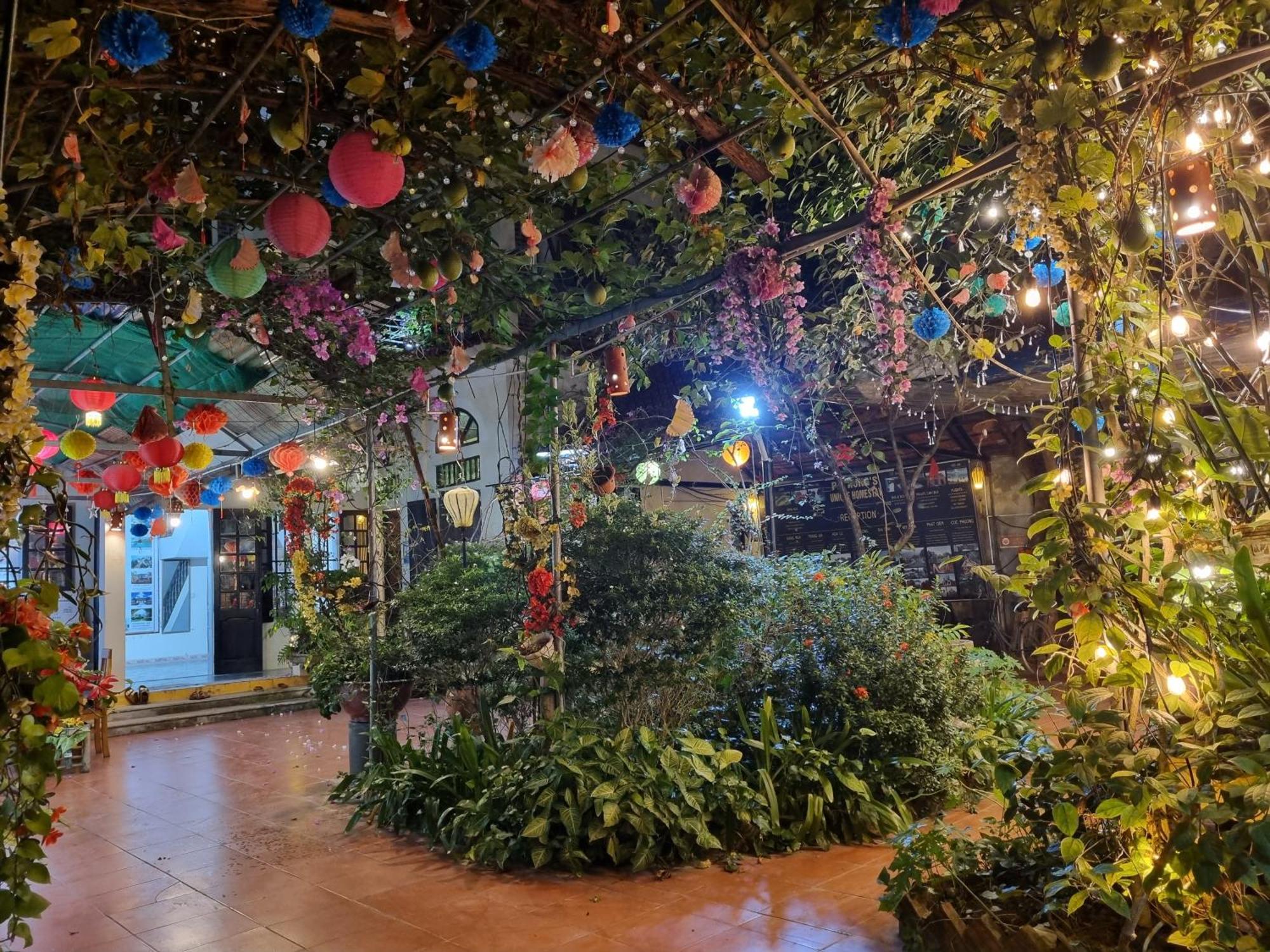 Phi Hung's Unique Homestay Ninh Binh