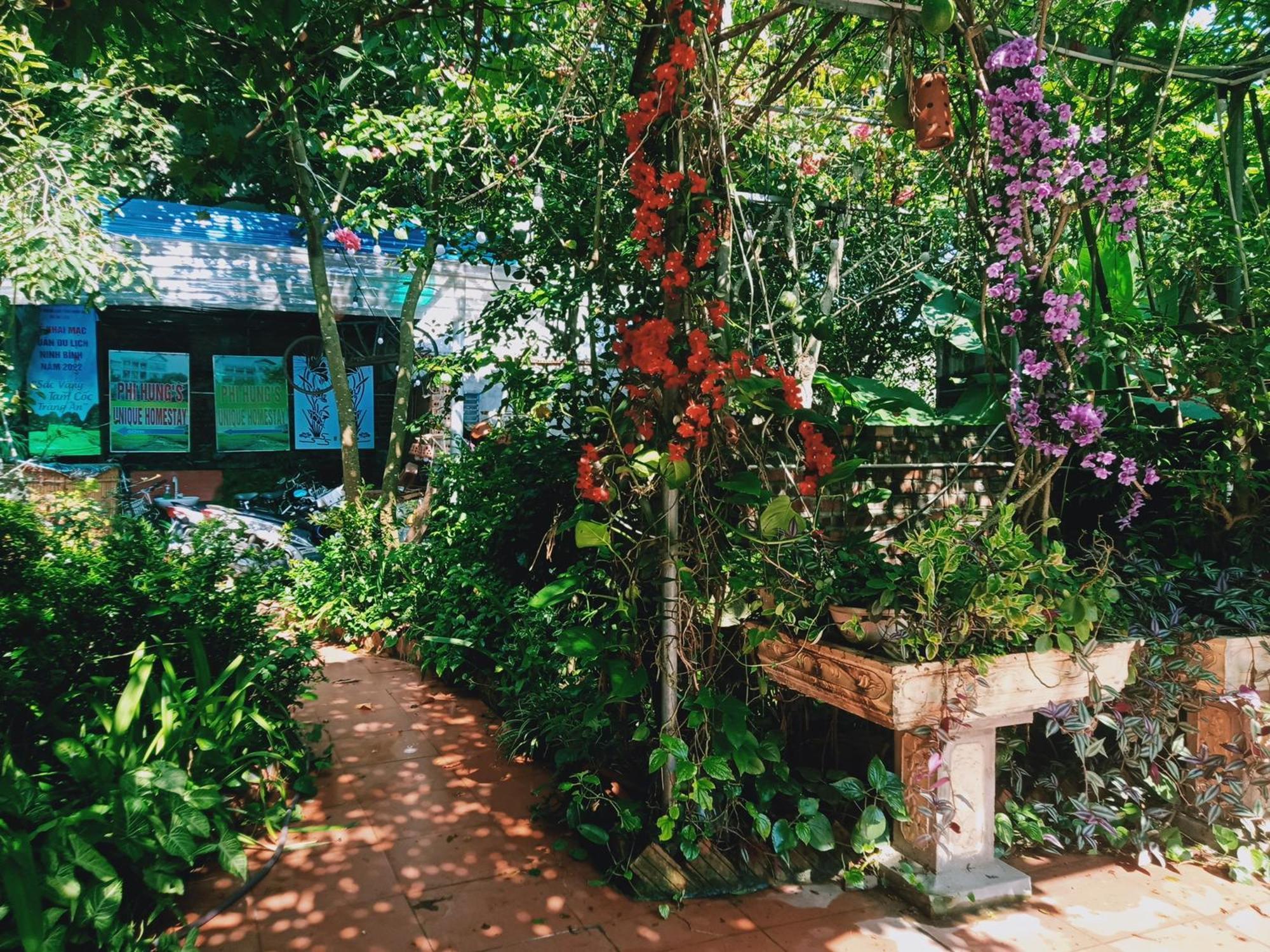 Homestay Phi Hung's Unique Ninh Binh