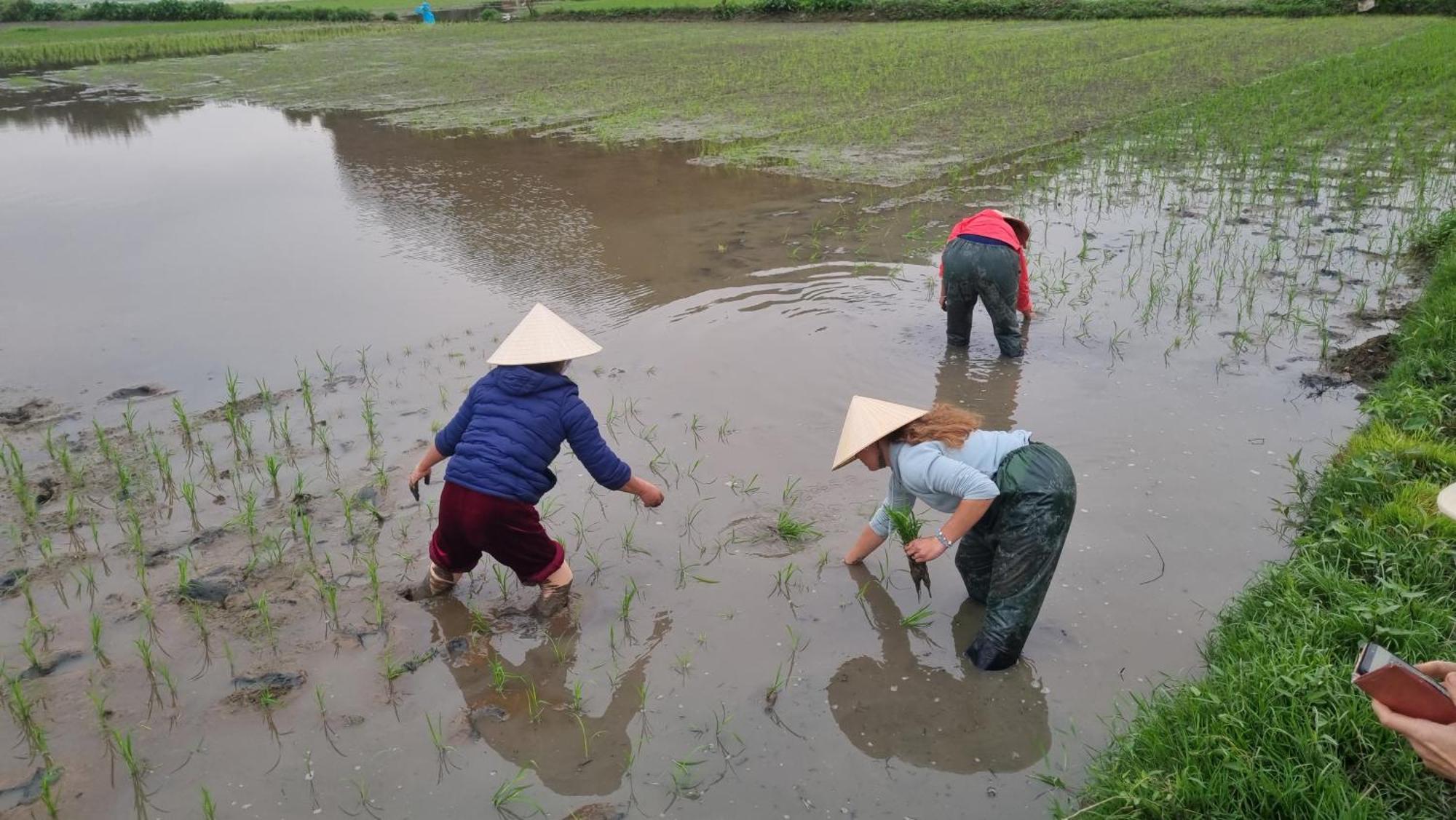Phi Hung's Unique Ninh Binh