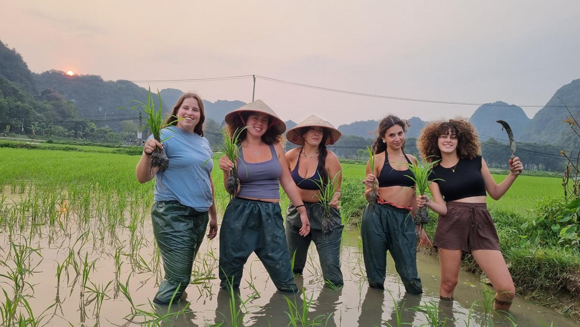 Homestay Phi Hung's Unique