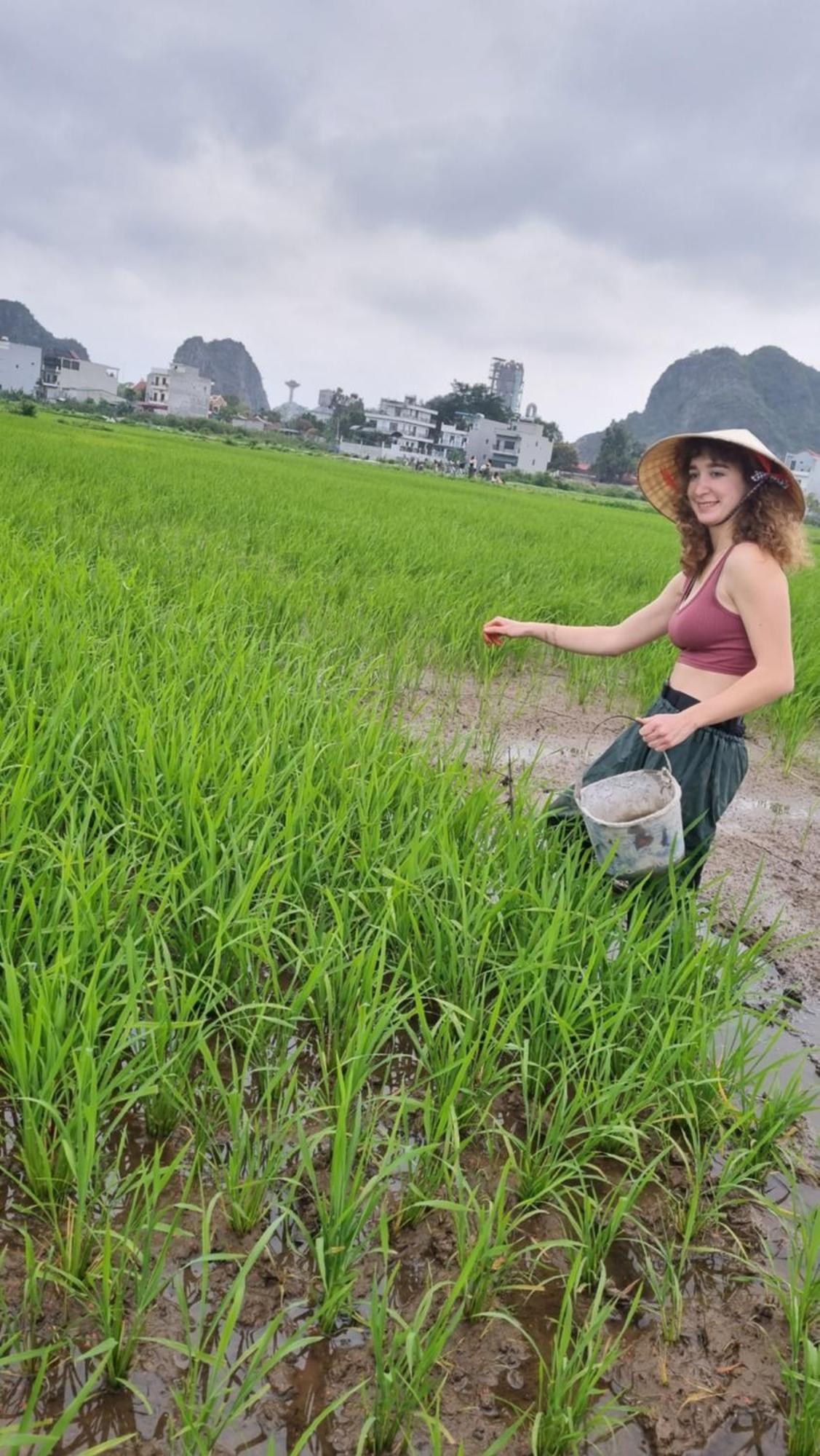 Phi Hung's Unique Homestay *